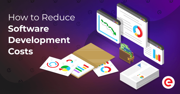 How to Reduce Software Development Costs