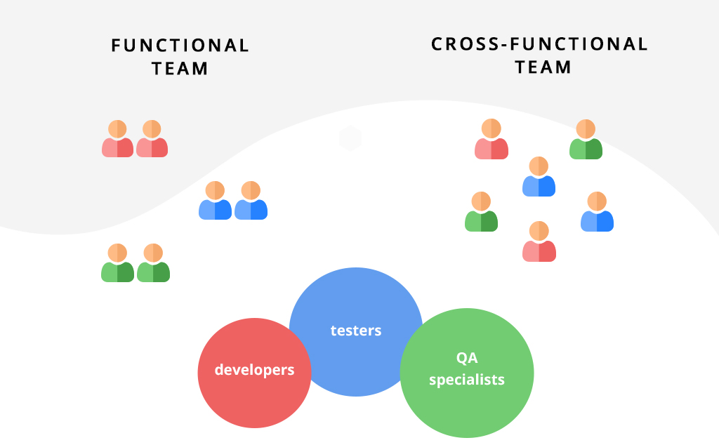 functional and cross-functional team