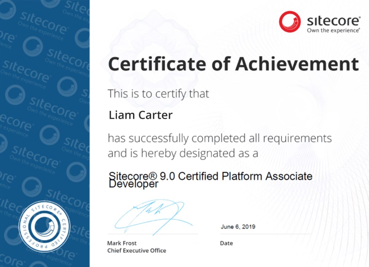 Sitecore Developer: Skills, Experience, Salary - Existek Blog