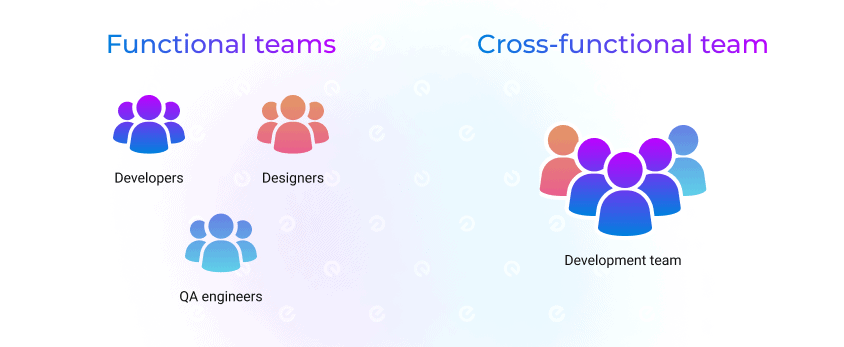 cross-functional vs functional teams